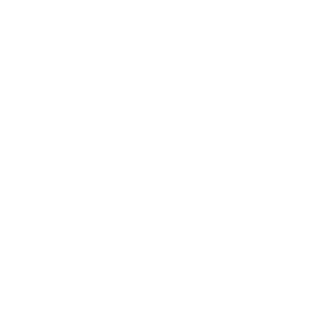 Data Base Consulting